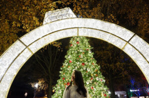 Looking for the Light