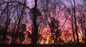 February 2021 Review