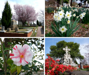 Morning at Oakland Cemetery